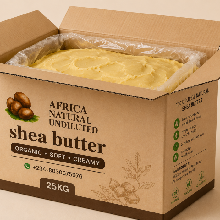 carton shea 3